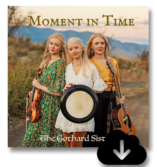 Digital - Moment in Time (Single)