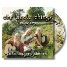 Load image into Gallery viewer, CD - It&#39;s the Little Things - 10 Year Anniversary